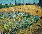 unknow artist Vincent van Gogh Wheatfield France oil painting artist